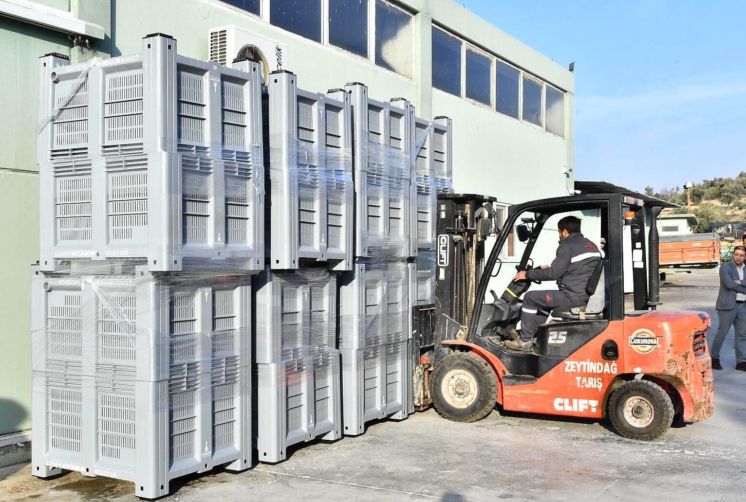 İzmir’in zeytinleri çuvallardan kurtulup kasalarda toplanacak