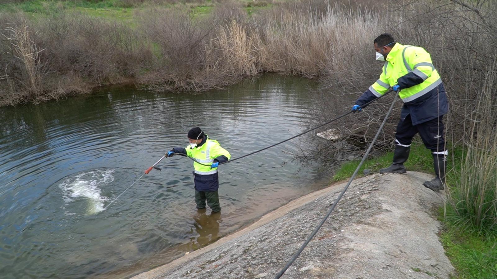 Sivrisinek ve haşereyle mücadele 12 ay sürüyor
