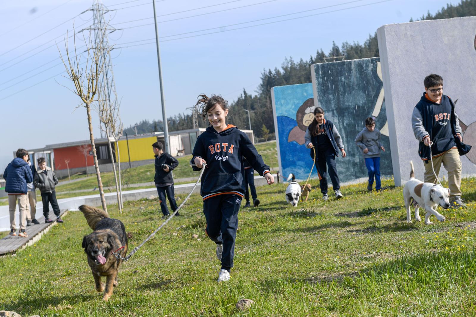 İzmir’de 2 bin 300 patili yuva bekliyor
