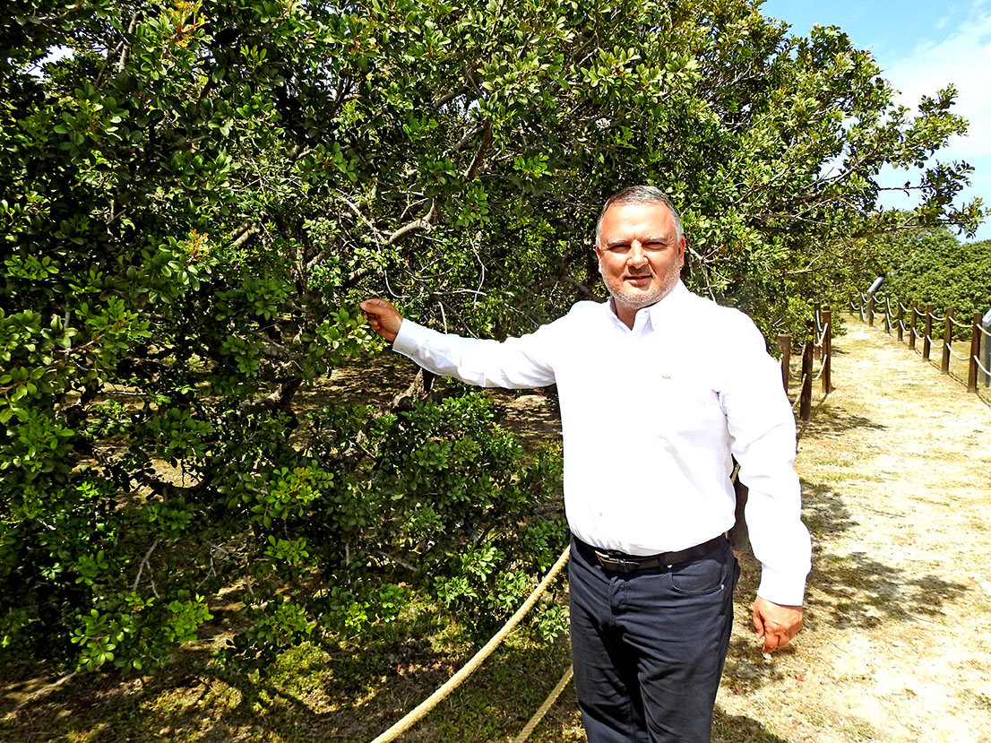 Çeşme’den İlk Kez Damla Sakızı İhracatı Gerçekleşti