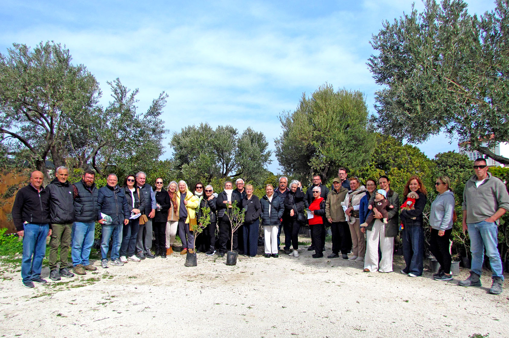 Alaçatı’da “Her Bahçeye Bir Sakız Ağacı” Seferberliği