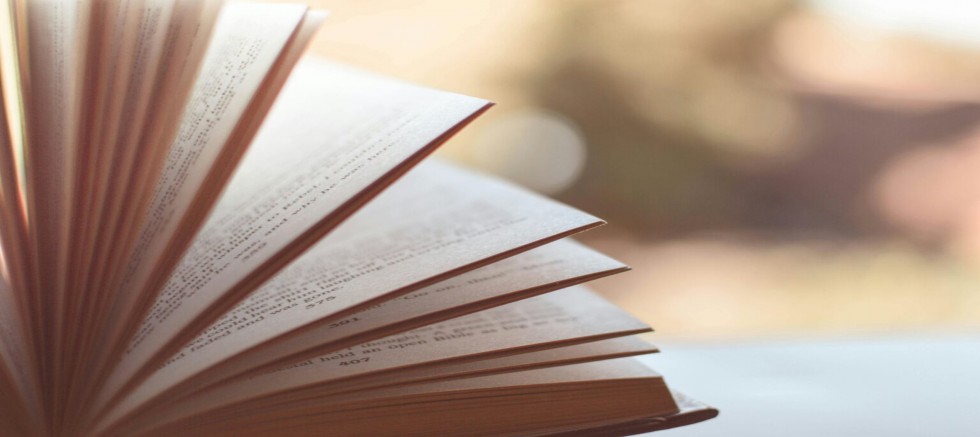 Çeşmeli yazar Hande Baba'nın da kurucusu olduğu Edebiyat Dostları Derneği çalışmalarına başladı