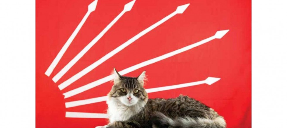 CHP'nin kedisi Şero hayatını kaybetti