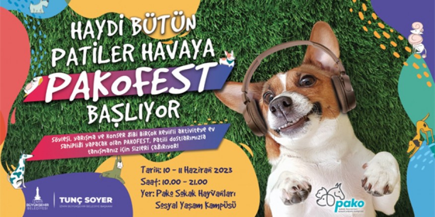 Pati dostları bu festivalde buluşacak
