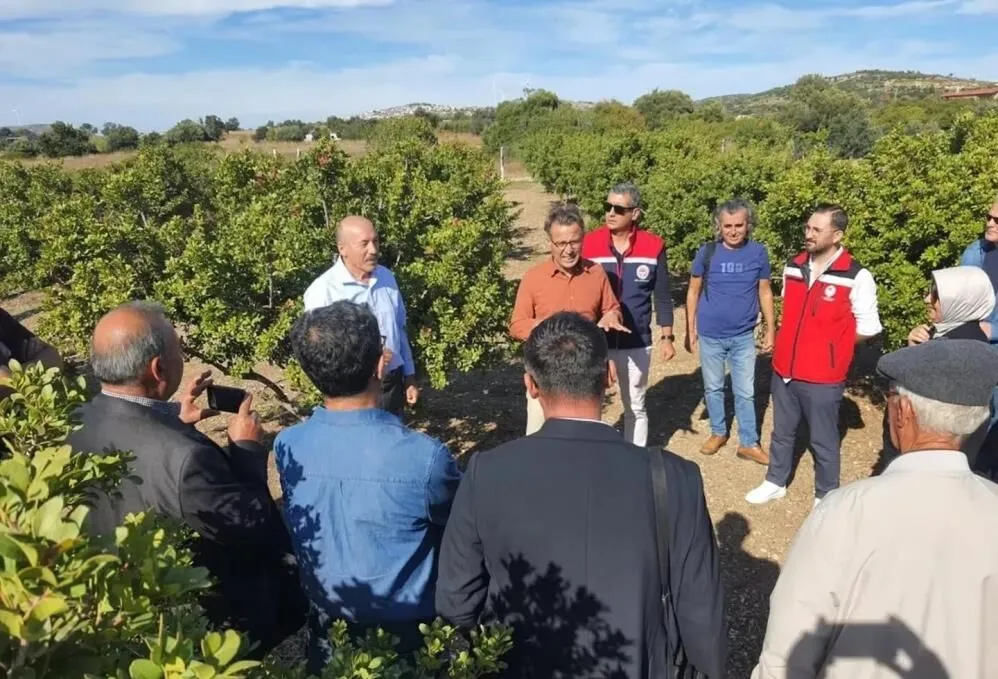 Aydınlı üreticilerden Çeşme'ye Sakız Ağacı gezisi