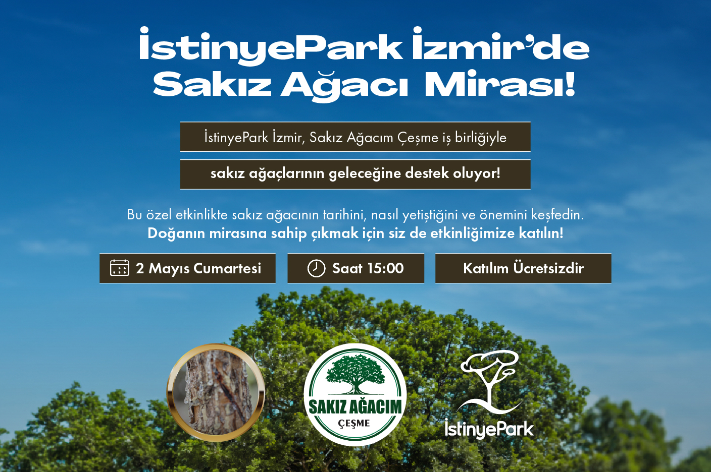 Sakız Ağacı Mirası  İstinyePark İzmir’de ziyaretçilerle buluşuyor!