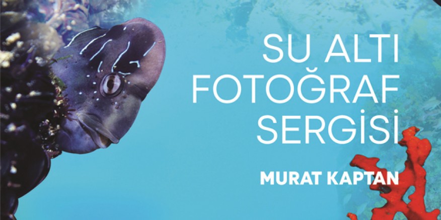 Yaşayan Körfez sergisi İzmirlilerle buluşuyor