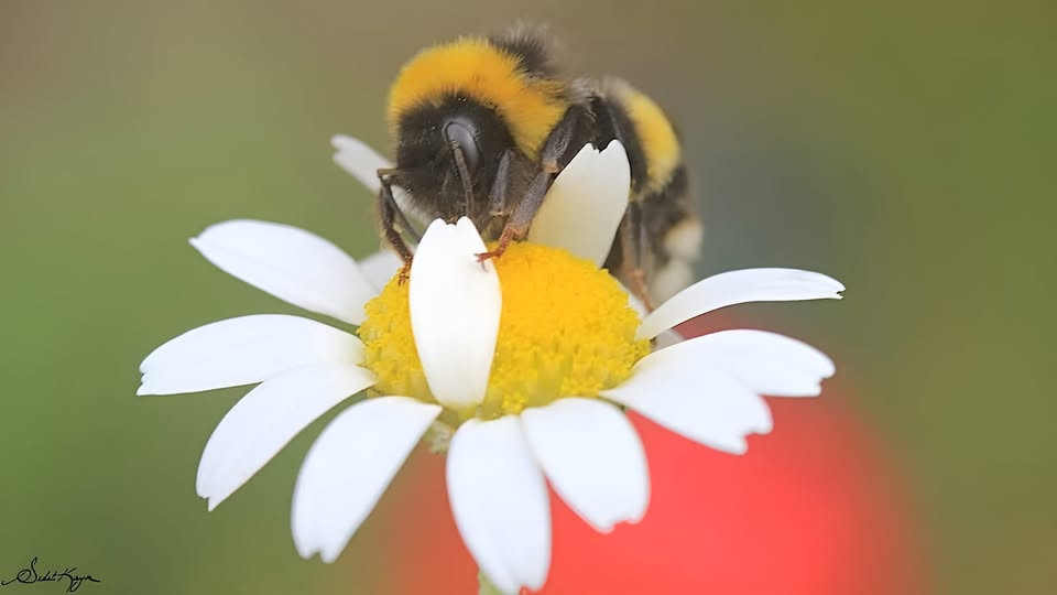 İNSANDAN UZAK SONSUZ BİR DÖNGÜ