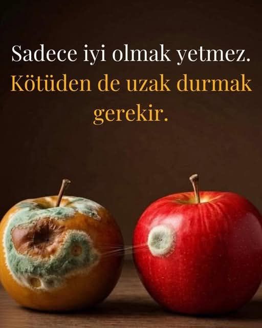 İNSAN OLMAK, DİRENÇ OLDU
