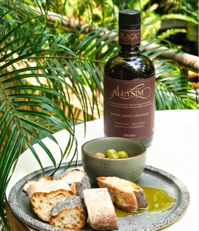 bandicam 2026-04-22 08-25-49-243